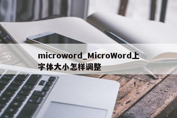 microword MicroWord上字體大小怎樣調整